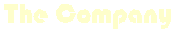 Company Information